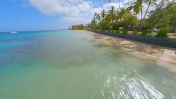 Fpv Drone Flight Stunning Tropical Coastline Playa Punta Popy — Stockvideo