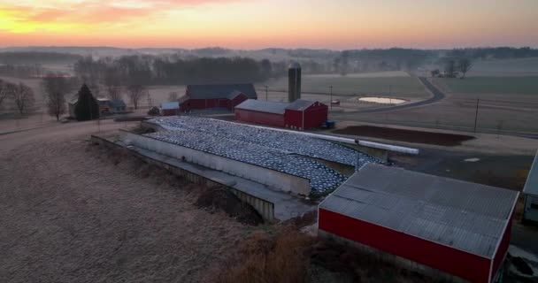 Rising Aerial Rural Farm Scene Usa Silage Pile Barns Dairy — стоковое видео