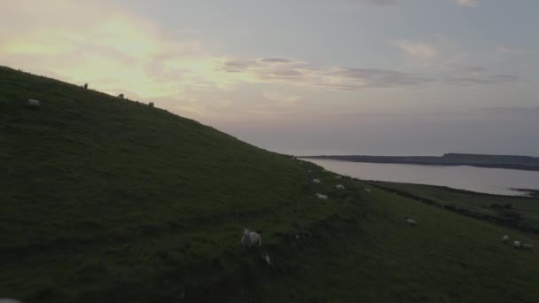 Puesta Sol Aérea Largo Los Campos Verdes Costa Irlanda — Vídeo de stock