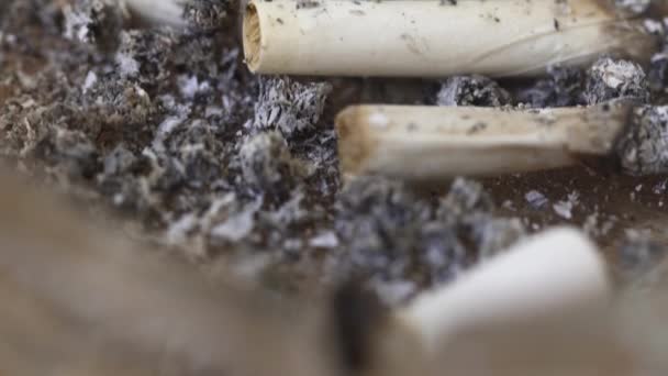 Extrémní Uzavření Nedopalků Cigaret Popelníku — Stock video