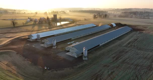 アメリカの農業 養鶏場の運営 風光明媚な航空シーン 霧と光で冬の日の出 明るい日差し — ストック動画