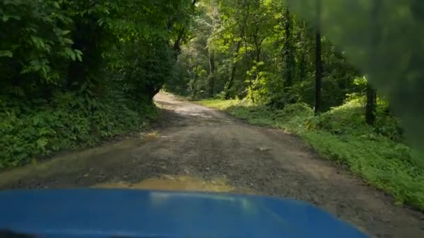 Pov Shot Road Vehicle Driving Puddle Deep Jungle Slow Motion — Stock Video