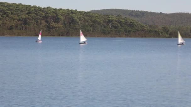 Close Grupo Veleiros Lago Austrália — Vídeo de Stock