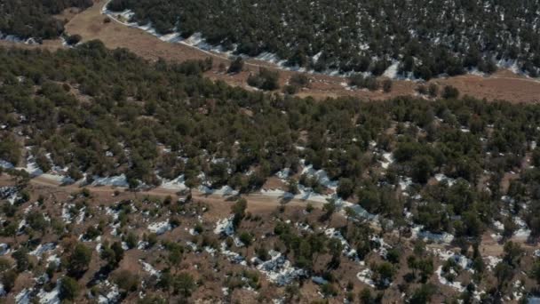 Vista Aérea Atv Conduciendo Por Carretera Remota Bosque Panorámica Hasta — Vídeo de stock