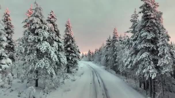 Flydronevisning Vei Midt Snødekt Skog Solnedgang Lappland – stockvideo