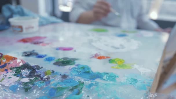 Artist Brushes Paint Colour Palette Vibrant Colours — Wideo stockowe