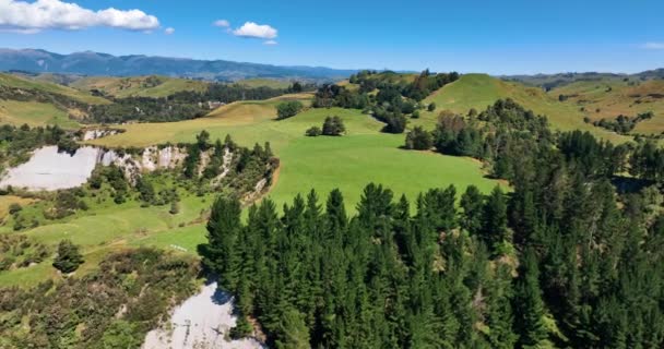 ユニークな農地Mangaweka崖やフィールドへの飛行 ニュージーランド — ストック動画