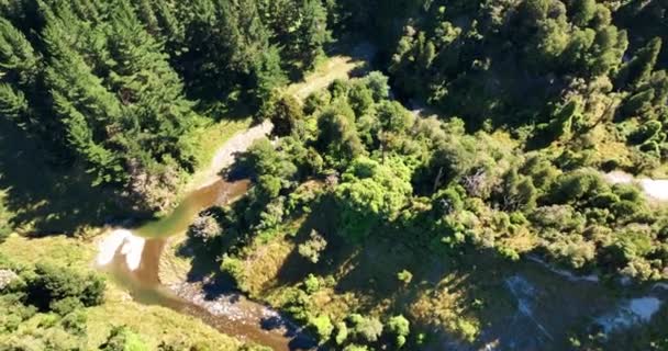 Flying Steep Ravine Mangawharariki River Mangaweka New Zealand — Stock video