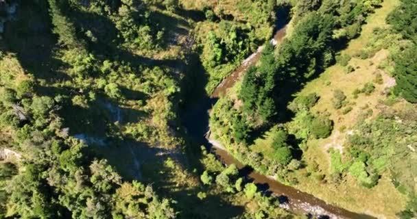 Volando Por Barranco Sobre Río Mangawharariki Mangaweka Nueva Zelanda — Vídeos de Stock