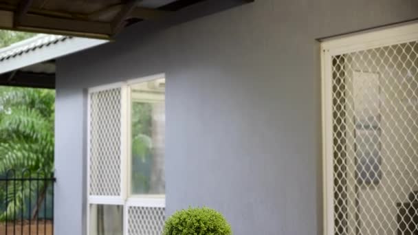 Terrasse Extérieure Véranda Avec Chaises Table Plante — Video