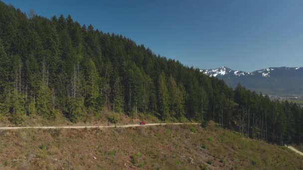 Red Jeep Suv Road Vehicle Driving Dirt Logging Road Approaching — Video