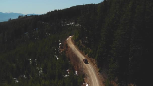 緑の木々と美しい景色に囲まれた山の上の森の奥深くにある遠隔地の伐採道路を4 4のオフロード車すべてを運転します — ストック動画