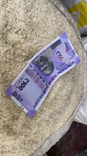 印度货币 印度一百卢比的平面矢量图解 印第100卢比的特写镜头放在桌子上 — 图库视频影像