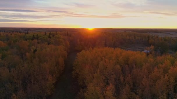 从左向右俯瞰空中鸟瞰秋色的天篷 因为太阳升起在乡间风景之上 — 图库视频影像