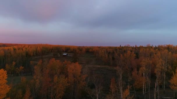Gliding Rural Landscape Autumn Canopy Colors Revealed Morning Light — Stockvideo