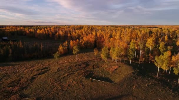 Turning Aerial View Rural Landscape Autumn While Being Illuminated First — Vídeo de stock