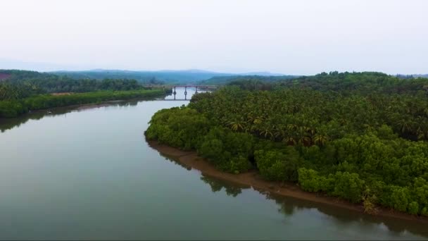Drone Voando Sobre Belo Rio Galgibagh Sul Goa Índia — Vídeo de Stock