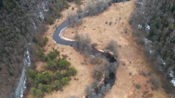 Aerial Curvy River Flows Forest Early Spring Eastern Europe — Wideo stockowe