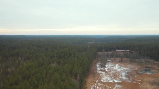 Aerial Train Rides Majestic Forest Eastern Europe — Stockvideo