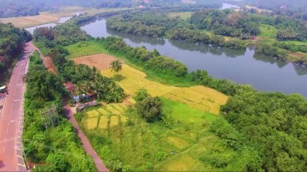 Drone Shot Calvim River Village Goa India — Wideo stockowe