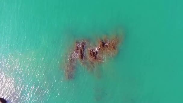 印度果阿南部拉玛海滩的无人驾驶飞机拍摄 — 图库视频影像