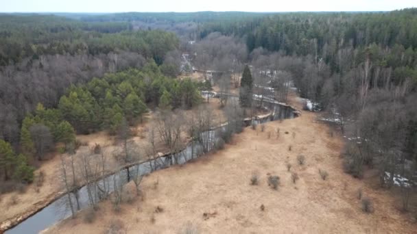 Aerial Řeka Potoky Směrem Nekonečnému Lesu Oblačný Jasný Den — Stock video