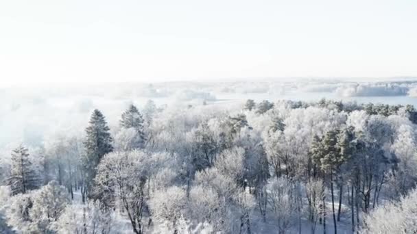 Drohnen Luftaufnahmen Des Landsitzes Trakai Winter Mitten Tag Bei Sonnigem — Stockvideo