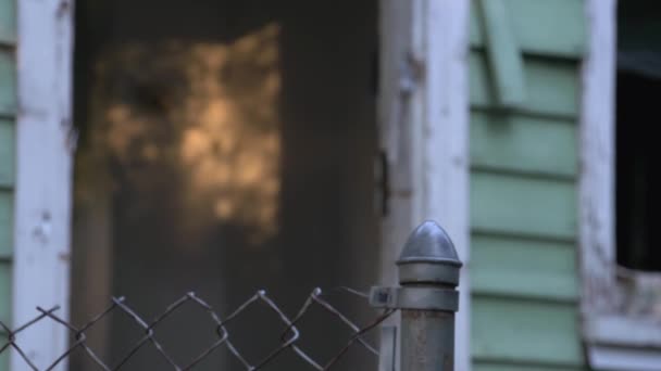 Sunlight Shadowed Trees Shines Light Wall Decaying Rotting Framed Detroit — Stock Video