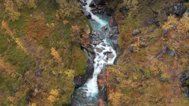 Aerial View Wild River Rushing Narrow Gorge Bright Autumn Vegetation — Stock videók