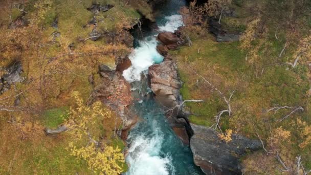 Aerial View Wild River Rushing Narrow Canyon Bright Autumn Vegetation — Stock videók