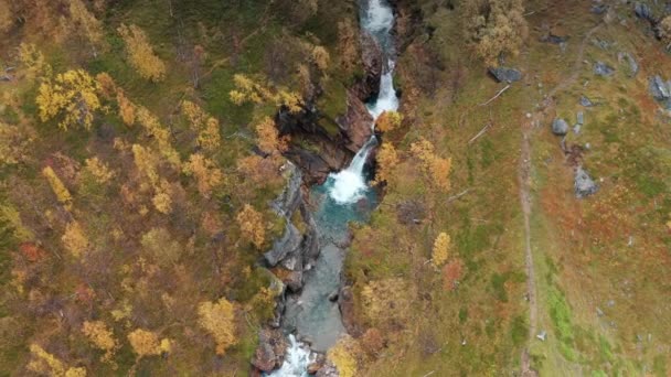 Aerial View Wild River Cascading Narrow Canyon Bright Autumn Vegetation — Stockvideo