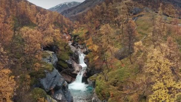 Aerial View Wild River Cascading Narrow Canyon Autumn Forest Covering — Stockvideo