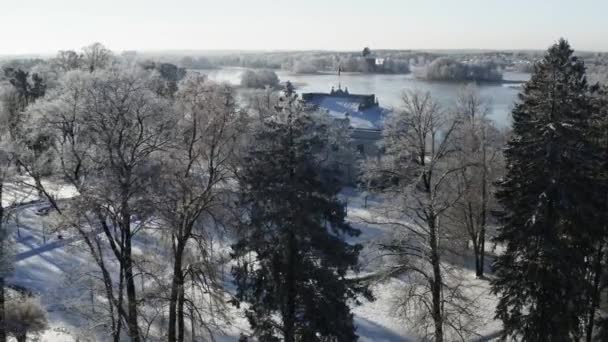 Drone Aerial Footage Trakai Manor Winter Time Middle Day Sunny — Video