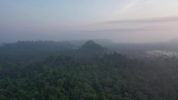 Drone Footage Blue Hour Tropical Jungle — стоковое видео