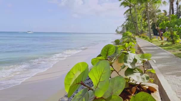 Ręczny Widok Alejki Playa Punta Popy Żaglówkami Tle Las Terrenas — Wideo stockowe