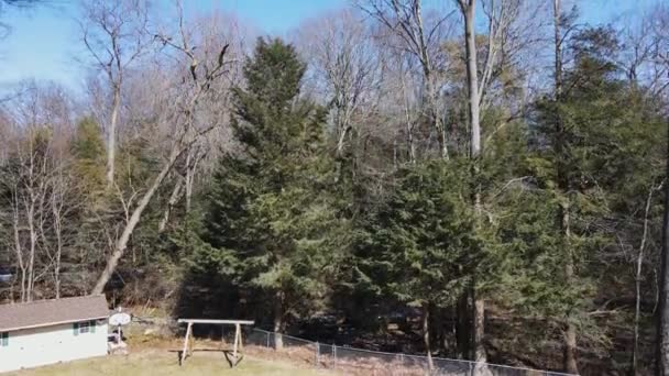 Aerial Truck Fresh Buds Spring Trees — Video