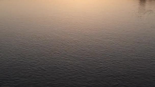 Abstract Water Moving Sunset — Video