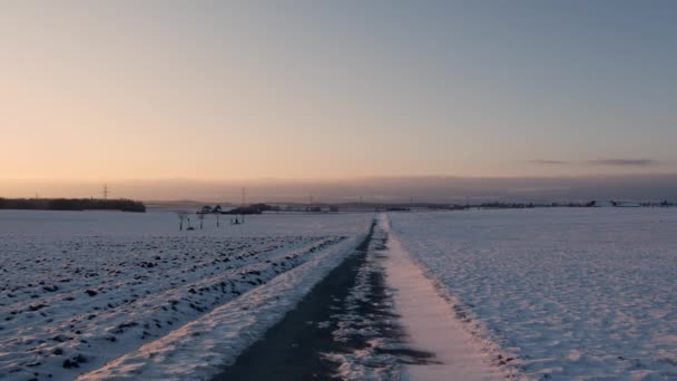 Tranquilla Passeggiata Una Strada Innevata Durante Tramonto — Video Stock