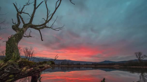 Timelapse Red Sunset Reflected Lake Dead Tree Foreground Surrounded Karkonosze — Wideo stockowe
