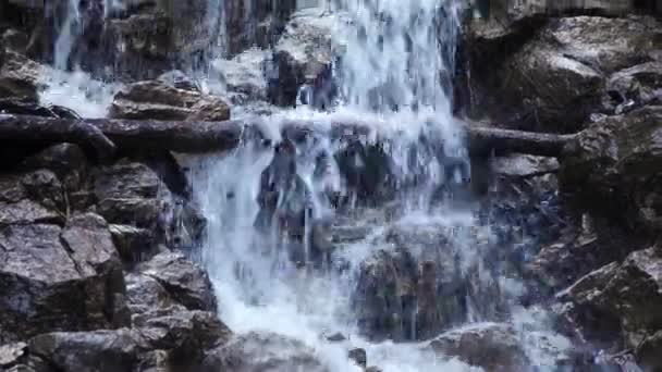 Dripping Cascade Waterfalls Rhine Switzerland — Stockvideo