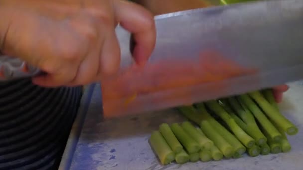 Cutting Green Onions Cutting Board — Vídeo de Stock