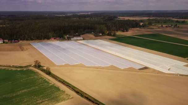 Aerial View Cloud Shadows Moving Covered Strawberry Field Trucking Drone — Vídeo de stock