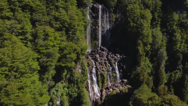 Cascada Acantilado Entre Frondosos Húmedos Bosques — Vídeo de stock