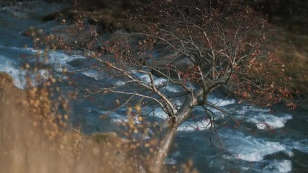 Wild River Flowing Autumn Tundra Slow Motion Pan Right Blurry — Vídeo de Stock