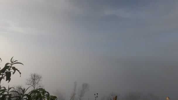 时间过去了 布鲁尔山被雾覆盖着 — 图库视频影像