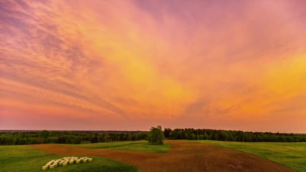 Cirrostratus田舎で黄金の時間の間に黄色と赤の空を飛んで雲 時間経過映像 — ストック動画