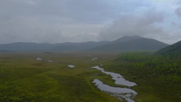 Drone Shot Traveling Forward Vast Empty Lands Scattered Some Lakes — Stock video