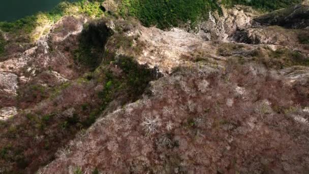 Aerial Grijalva Floden Sumidero Canyon Chiapas Mexiko Brett Uppifrån Och — Stockvideo