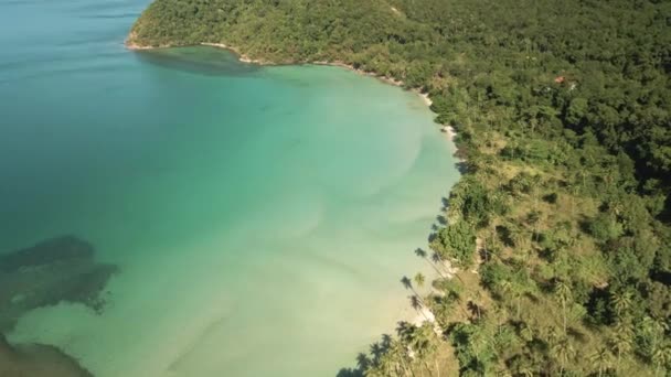 Aerea Incredibile Spiaggia Sabbia Bianca Con Palme Acque Tropicali Turchesi — Video Stock
