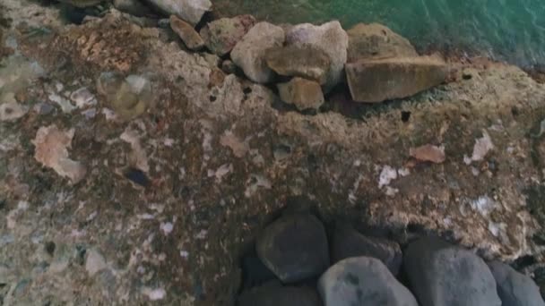 Вид Сверху Вниз Вдоль Гавайских Береговых Пород Полупрозрачной Изумрудной Воде — стоковое видео